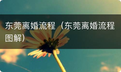 东莞离婚流程（东莞离婚流程图解）