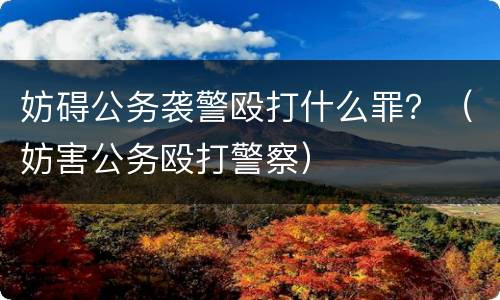 妨碍公务袭警殴打什么罪？（妨害公务殴打警察）
