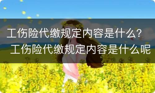 工伤险代缴规定内容是什么？ 工伤险代缴规定内容是什么呢