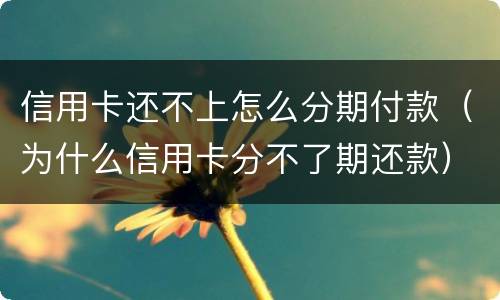 信用卡还不上怎么分期付款（为什么信用卡分不了期还款）