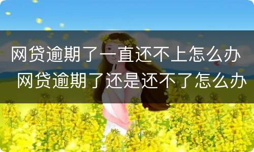 网贷逾期了一直还不上怎么办 网贷逾期了还是还不了怎么办