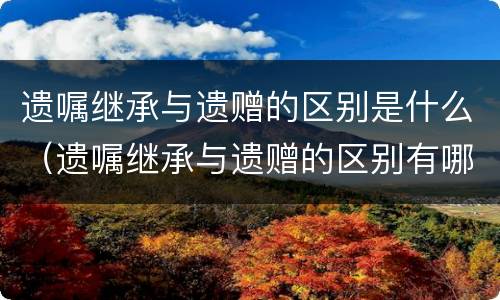 遗嘱继承与遗赠的区别是什么（遗嘱继承与遗赠的区别有哪些）