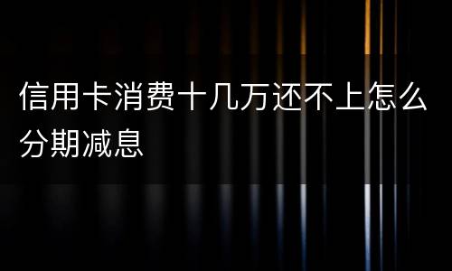 信用卡消费十几万还不上怎么分期减息