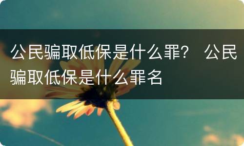 公民骗取低保是什么罪？ 公民骗取低保是什么罪名