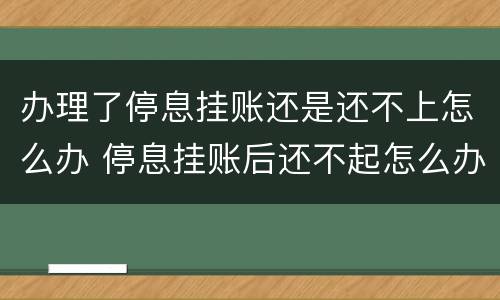 办理了停息挂账还是还不上怎么办 停息挂账后还不起怎么办