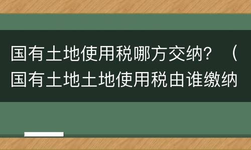 国有土地使用税哪方交纳？（国有土地土地使用税由谁缴纳）