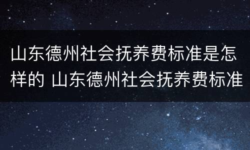 山东德州社会抚养费标准是怎样的 山东德州社会抚养费标准是怎样的啊