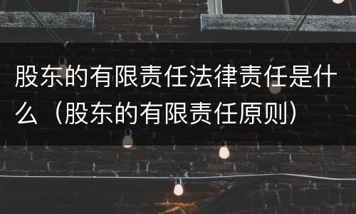 股东的有限责任法律责任是什么（股东的有限责任原则）