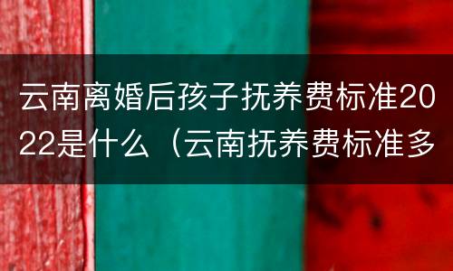 云南离婚后孩子抚养费标准2022是什么（云南抚养费标准多少钱一个月）