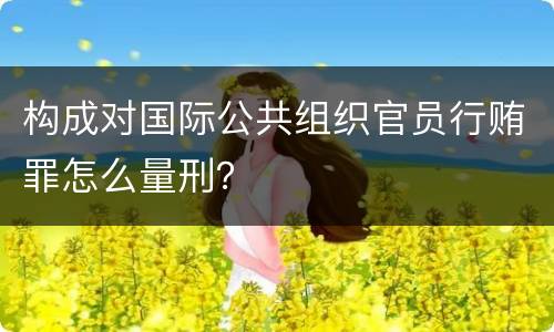 构成对国际公共组织官员行贿罪怎么量刑？