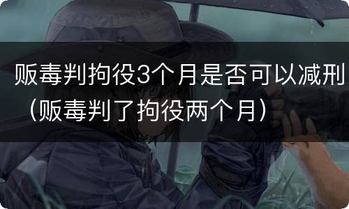 贩毒判拘役3个月是否可以减刑（贩毒判了拘役两个月）