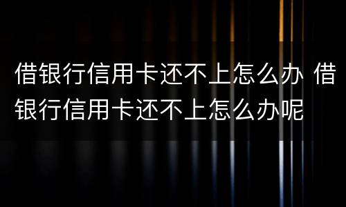 借银行信用卡还不上怎么办 借银行信用卡还不上怎么办呢