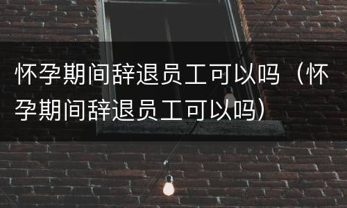 怀孕期间辞退员工可以吗（怀孕期间辞退员工可以吗）