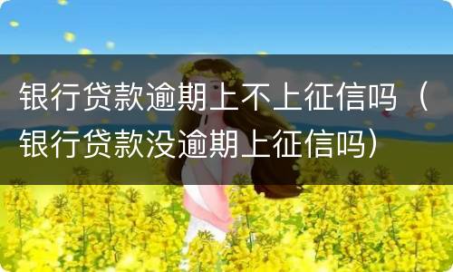 银行贷款逾期上不上征信吗（银行贷款没逾期上征信吗）