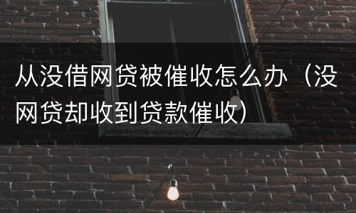 从没借网贷被催收怎么办（没网贷却收到贷款催收）