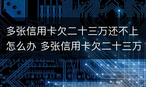 多张信用卡欠二十三万还不上怎么办 多张信用卡欠二十三万还不上怎么办呢