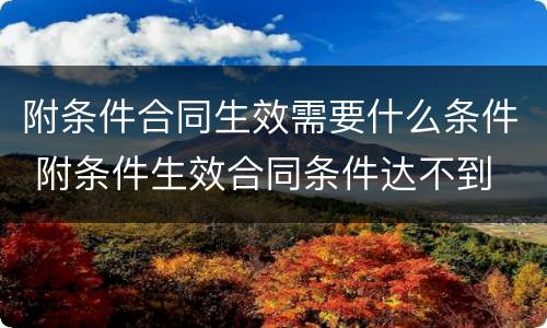 附条件合同生效需要什么条件 附条件生效合同条件达不到