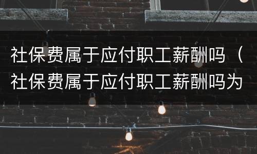 社保费属于应付职工薪酬吗（社保费属于应付职工薪酬吗为什么）