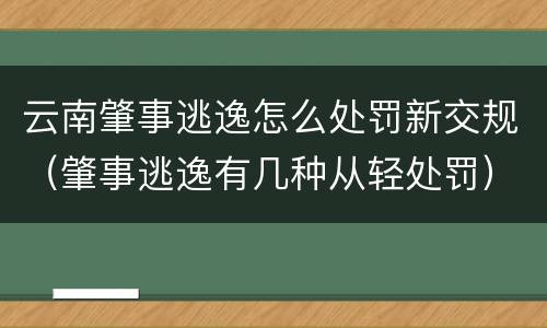 云南肇事逃逸怎么处罚新交规（肇事逃逸有几种从轻处罚）