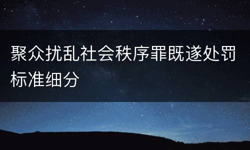 聚众扰乱社会秩序罪既遂处罚标准细分