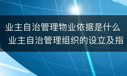 业主自治管理物业依据是什么 业主自治管理组织的设立及指导和协助有哪些规定