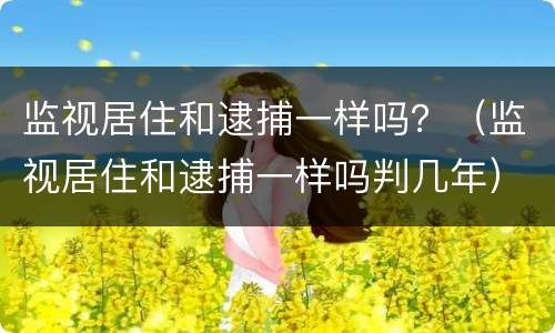 监视居住和逮捕一样吗？（监视居住和逮捕一样吗判几年）