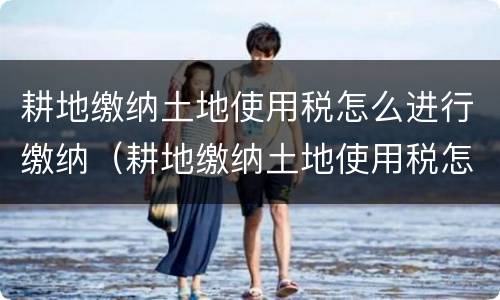 耕地缴纳土地使用税怎么进行缴纳（耕地缴纳土地使用税怎么进行缴纳申报）