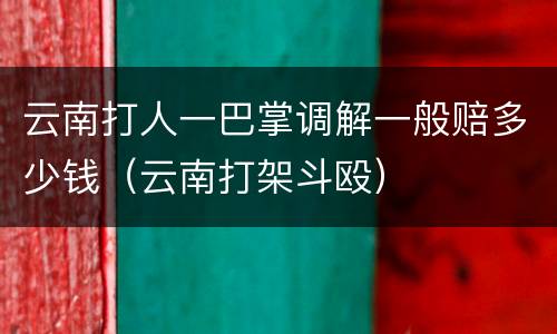 云南打人一巴掌调解一般赔多少钱（云南打架斗殴）