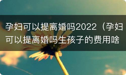 孕妇可以提离婚吗2022（孕妇可以提离婚吗生孩子的费用啥了谁出）
