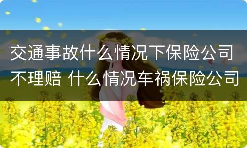 交通事故什么情况下保险公司不理赔 什么情况车祸保险公司不赔
