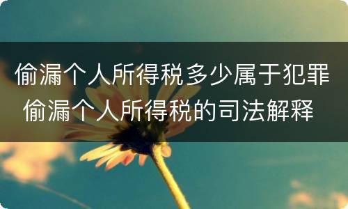 偷漏个人所得税多少属于犯罪 偷漏个人所得税的司法解释