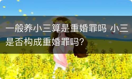 一般养小三算是重婚罪吗 小三是否构成重婚罪吗?