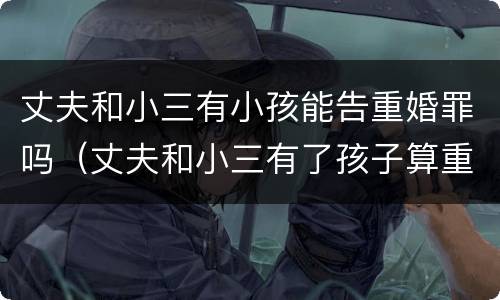 丈夫和小三有小孩能告重婚罪吗（丈夫和小三有了孩子算重婚罪吗）