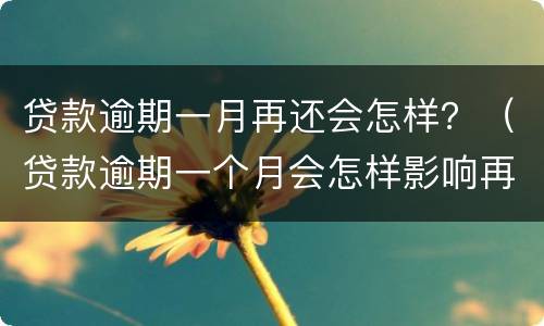 贷款逾期一月再还会怎样？（贷款逾期一个月会怎样影响再次贷款吗）