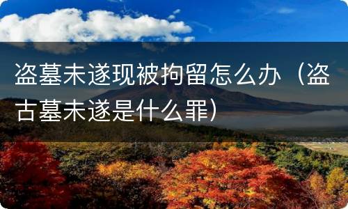 盗墓未遂现被拘留怎么办（盗古墓未遂是什么罪）