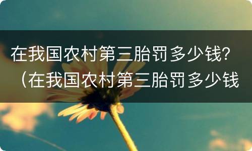 在我国农村第三胎罚多少钱？（在我国农村第三胎罚多少钱了）