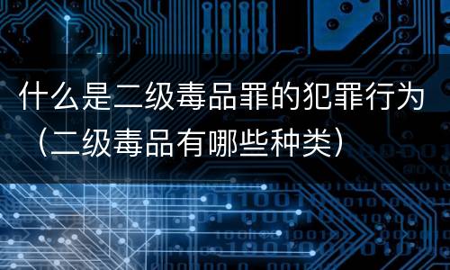 什么是二级毒品罪的犯罪行为（二级毒品有哪些种类）