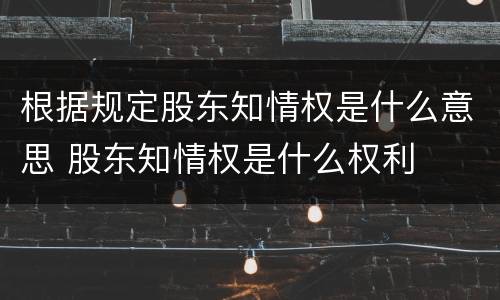 根据规定股东知情权是什么意思 股东知情权是什么权利