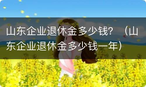 山东企业退休金多少钱？（山东企业退休金多少钱一年）