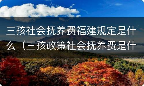 三孩社会抚养费福建规定是什么（三孩政策社会抚养费是什么）