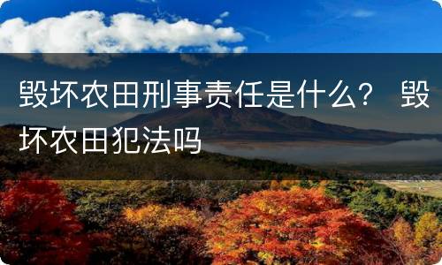 毁坏农田刑事责任是什么？ 毁坏农田犯法吗