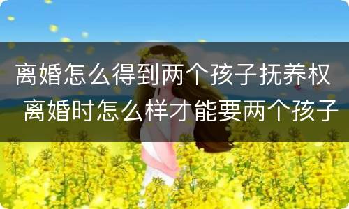 离婚怎么得到两个孩子抚养权 离婚时怎么样才能要两个孩子的扶养权