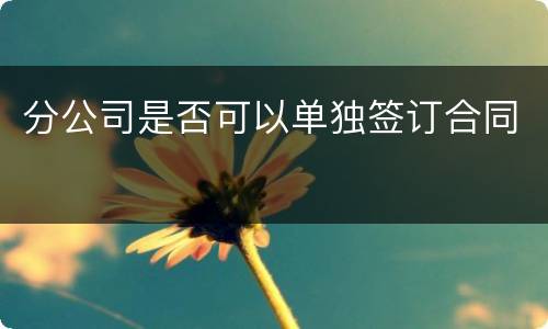 分公司是否可以单独签订合同