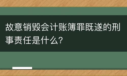 故意销毁会计账簿罪既遂的刑事责任是什么？