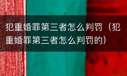 犯重婚罪第三者怎么判罚（犯重婚罪第三者怎么判罚的）