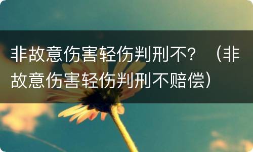 非故意伤害轻伤判刑不？（非故意伤害轻伤判刑不赔偿）