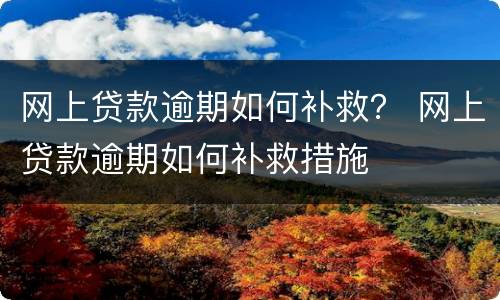 网上贷款逾期如何补救？ 网上贷款逾期如何补救措施