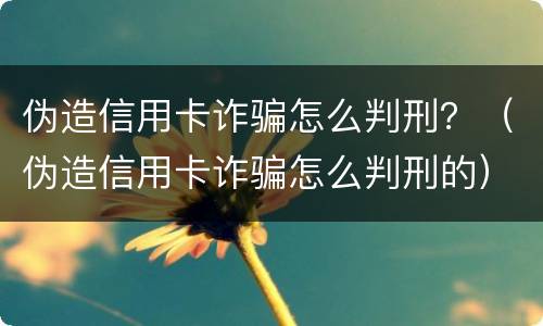 伪造信用卡诈骗怎么判刑？（伪造信用卡诈骗怎么判刑的）