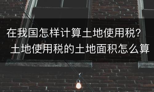 在我国怎样计算土地使用税？ 土地使用税的土地面积怎么算