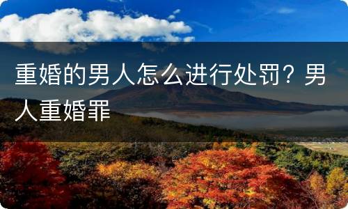 重婚的男人怎么进行处罚? 男人重婚罪